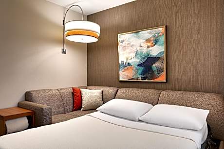 Accessible Suite King Bedrollin Shower (plus Sofa Bed)