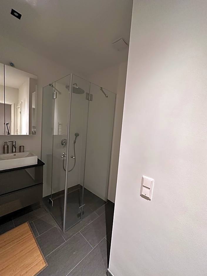 Lion`s Rooms n Apartments