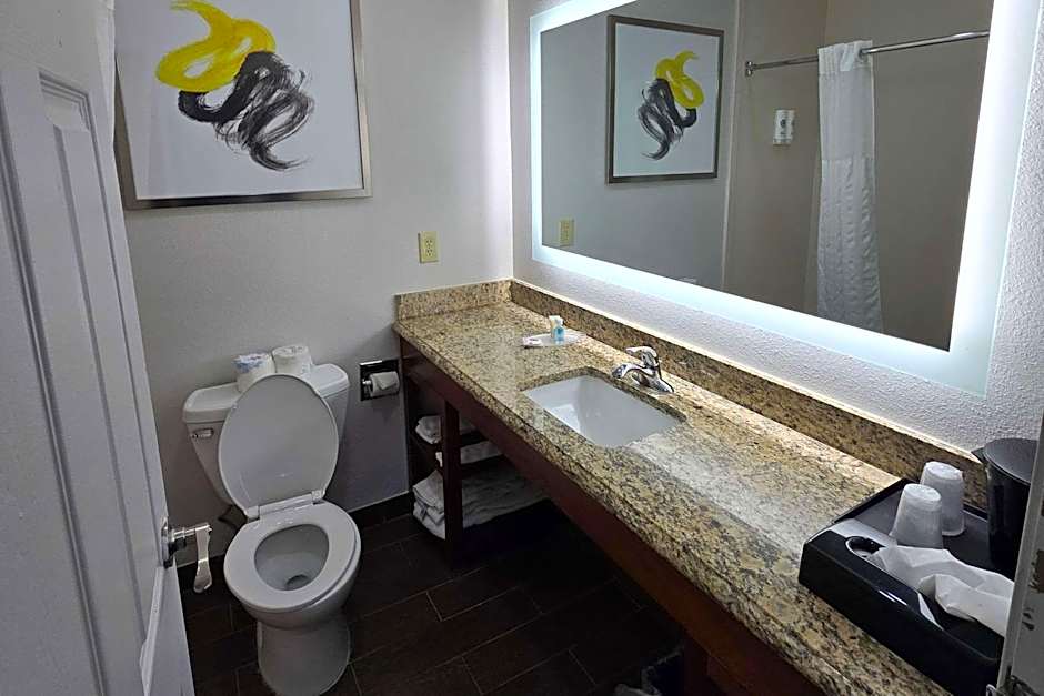 Comfort Suites Terre Haute University Area