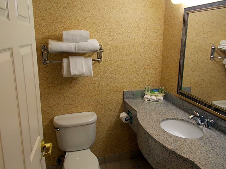 Holiday Inn Express Syracuse-Fairgrounds By IHG