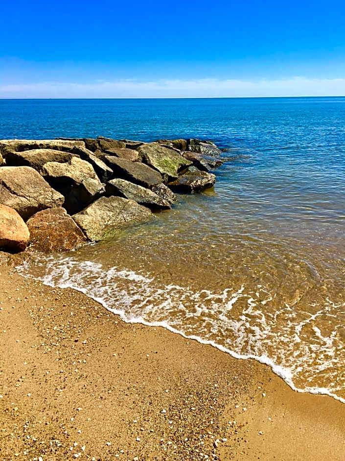 Kingfisher Oceanside