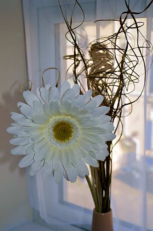 Sea Breeze Guest House