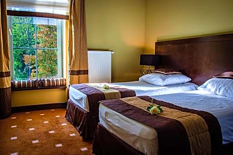 Deluxe Queen Room with Sofa Bed