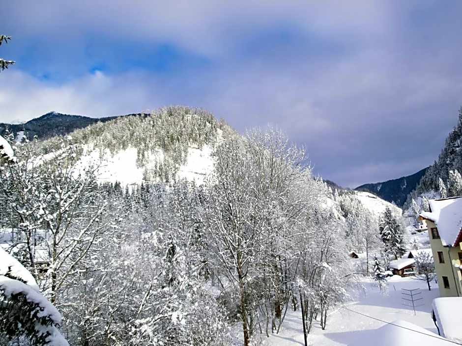Hotel garni Landhaus Bürtlmair