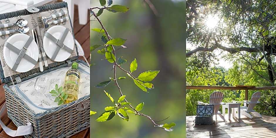 Bushbaby River Lodge