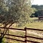 Chambre d'hôtes le petit Ranch