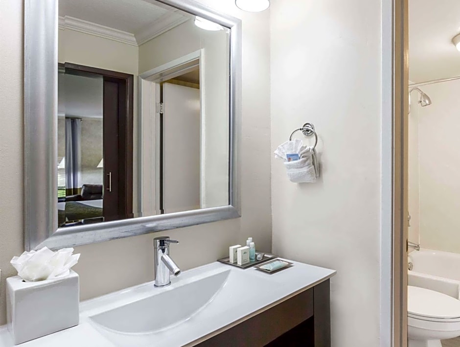 Wyndham Garden San Jose Airport