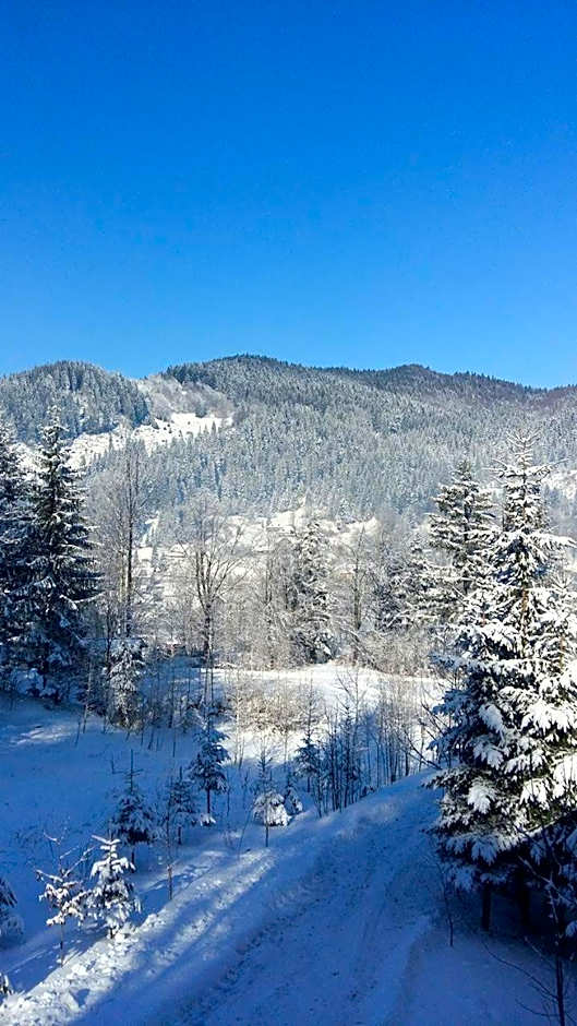 Șoaptele pădurii & Căsuța din pădure