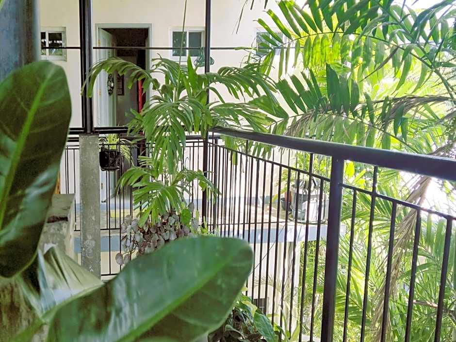 Green Turtle Backpackers Guesthouse, Puerto Princesa