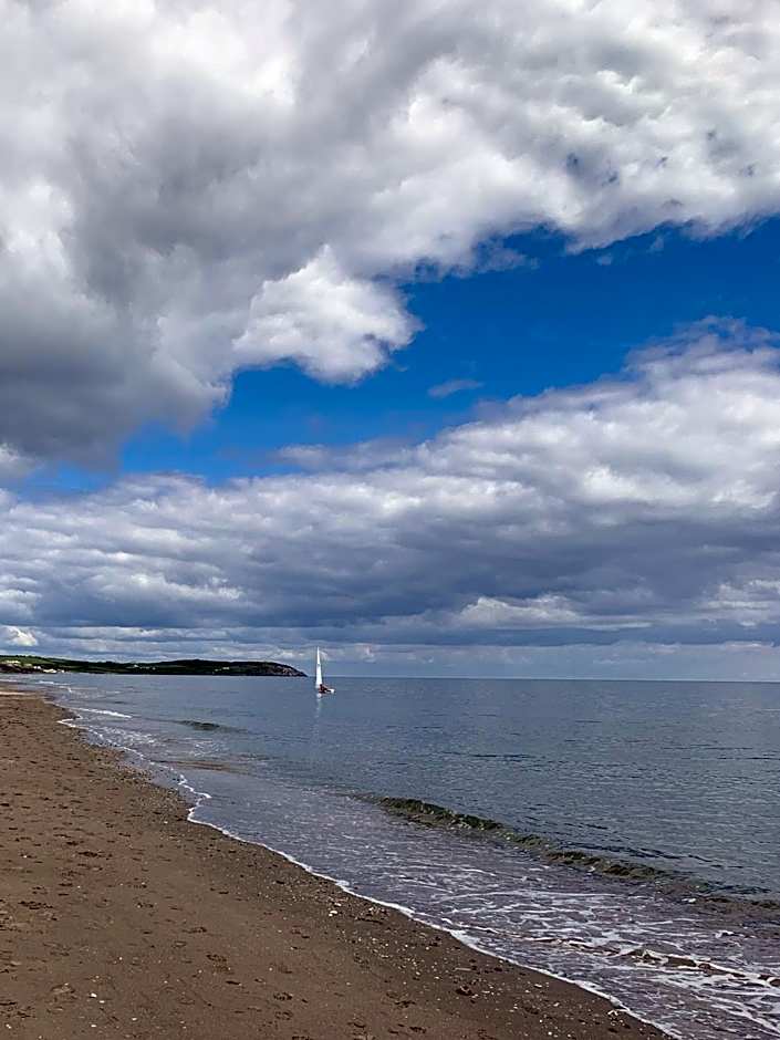 Flynns of Termonfeckin Boutique Hotel