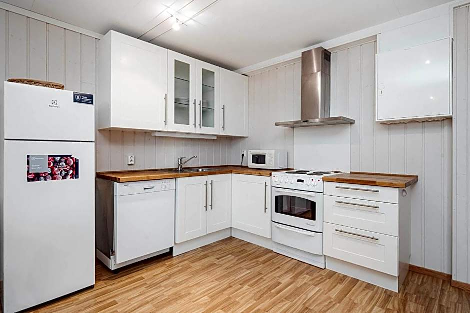 Basecamp Frich`s Hjerkinn