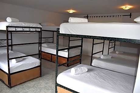 1 Person in 14-Bed Dormitory - Mixed