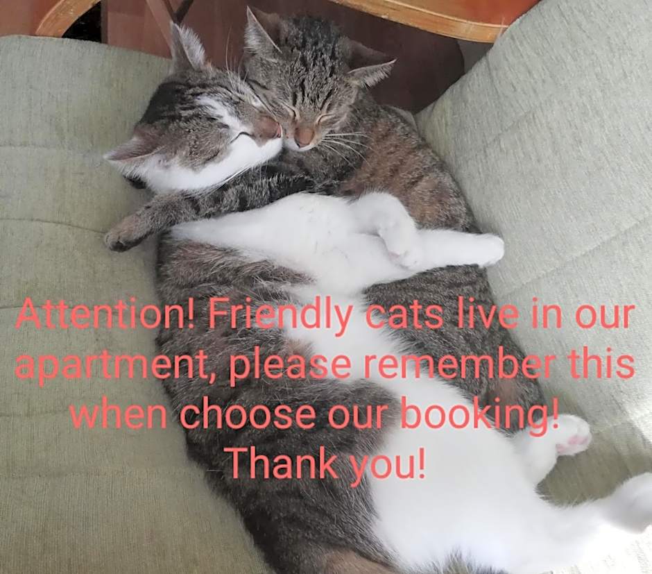 Sweet Home & Sweet Cats & Fast internet