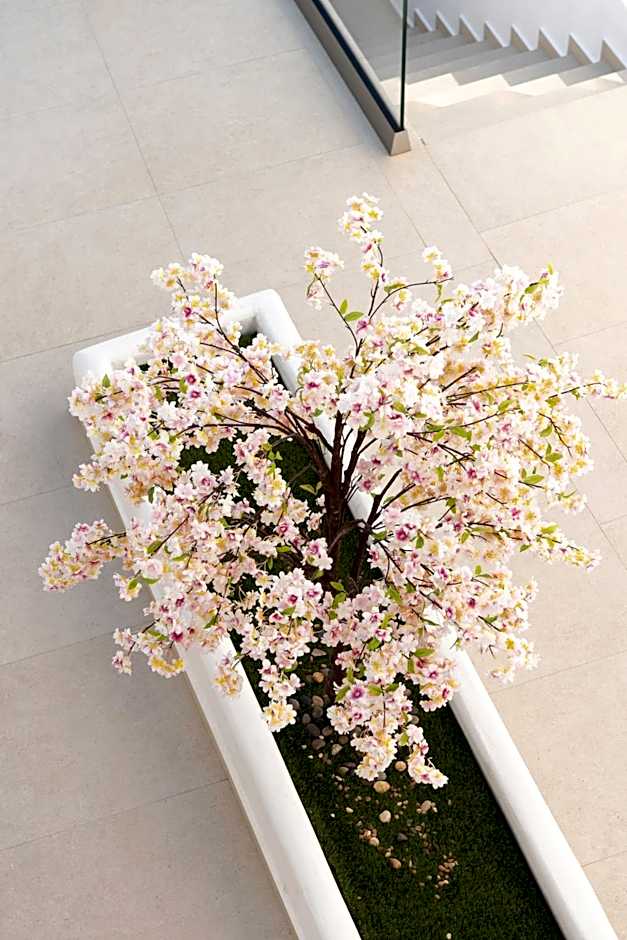 Mia Anasa - Luxury Suites