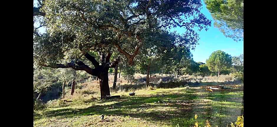 Ying Yang Monte da Lua