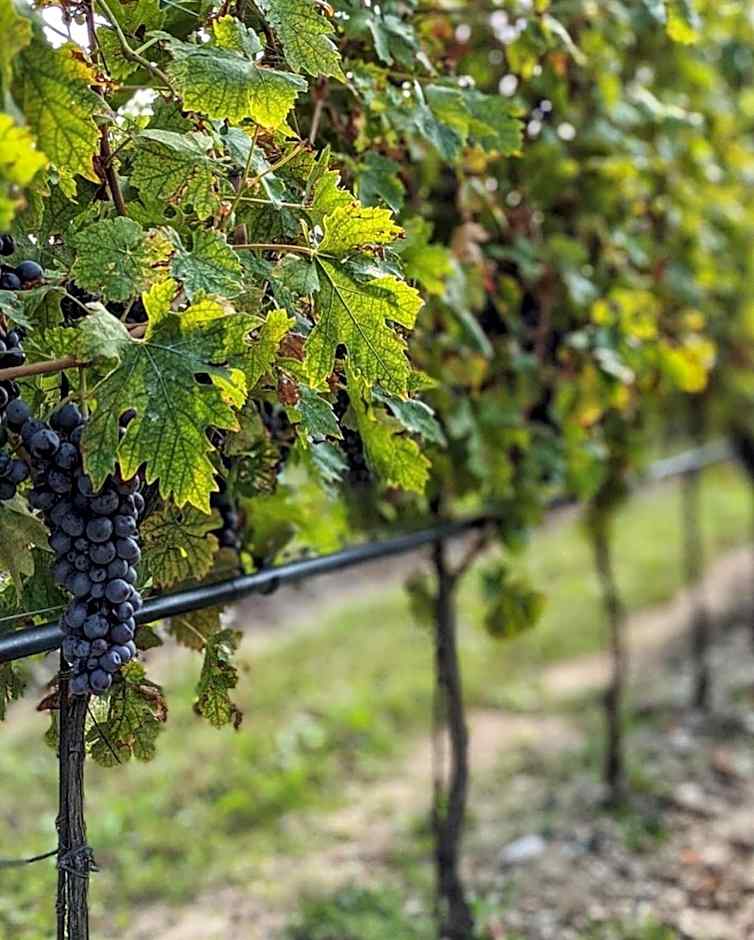 Natiia Relais - Adults Only