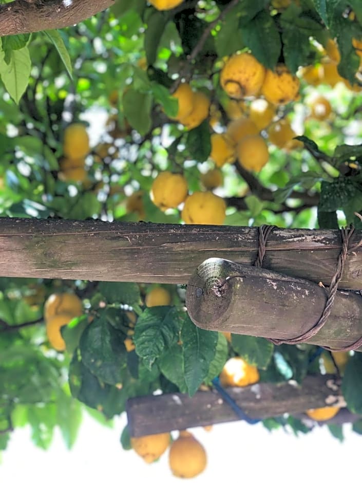 B&B Villa Anna Wunderbar