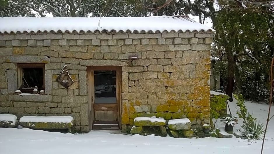 Agriturismo La Vigna