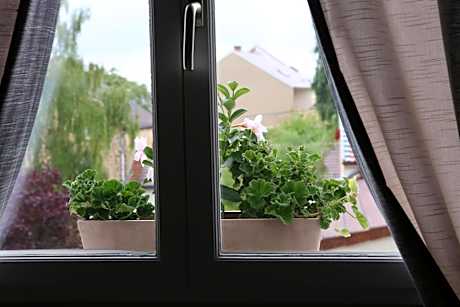 Double Room with Private Bathroom