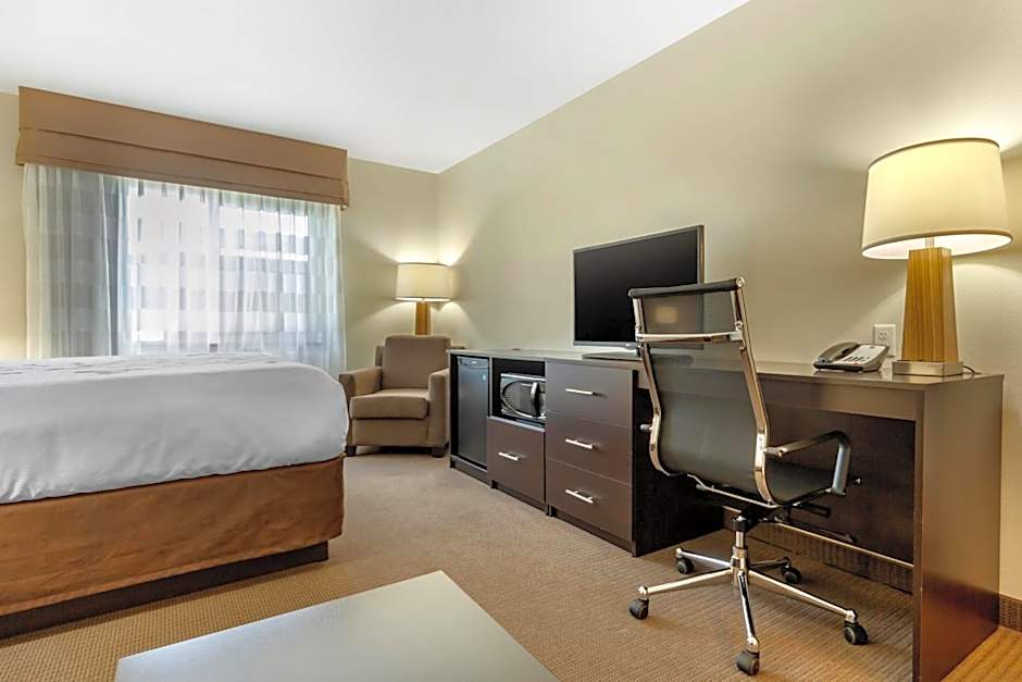 Photo 1 of 8 of 1 King Bed Suite, Accessible