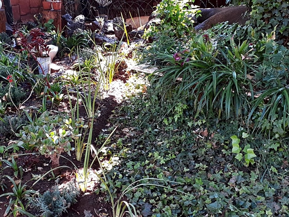 Upper Houghton Guesthouse