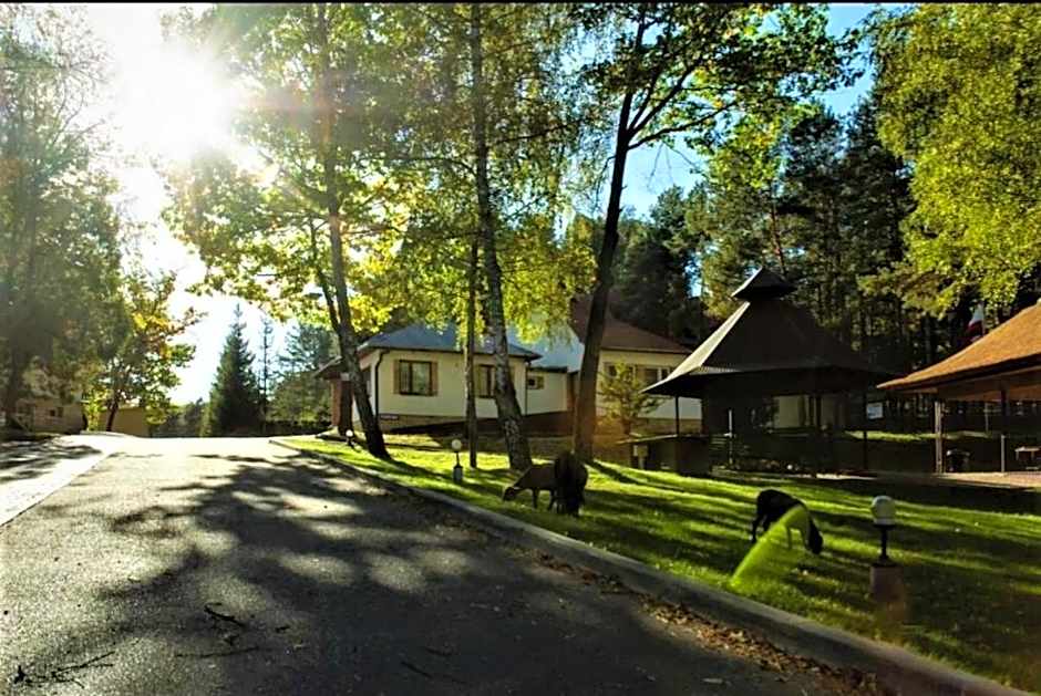 Ośrodek Wypoczynkowy ,,Relaks-Perła Serpelic''