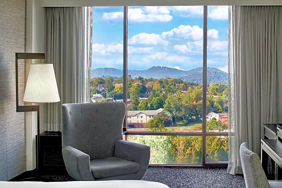Renaissance Asheville Downtown Hotel
