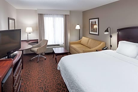 1 King Mobility/Hearing Acc Ri Shower Nosmok