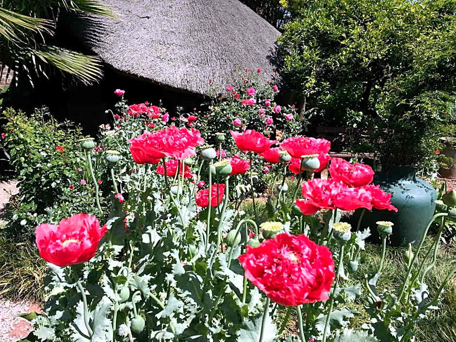 Agterplaas Guesthouse Pty Ltd