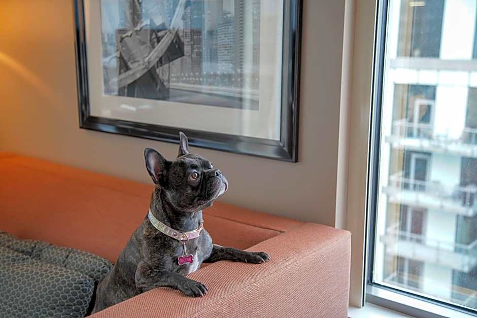 Homewood Suites by Hilton Chicago West Loop