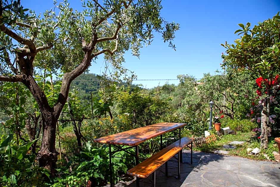 Pietrantica - Affittacamere con giardino NUOVA APERTURA a Trebiano -CITR