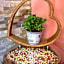 Boutique Hotel Asteria