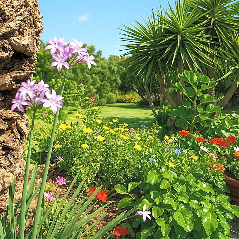 B&B Nel Giardino In Fiore