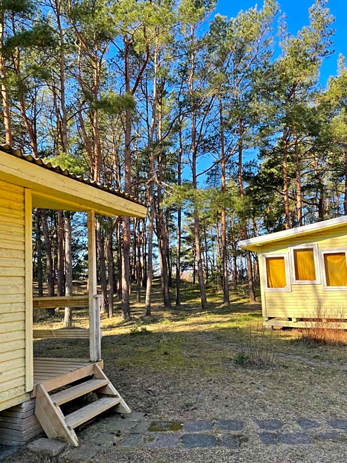 Energetikas • nameliai prie jūros