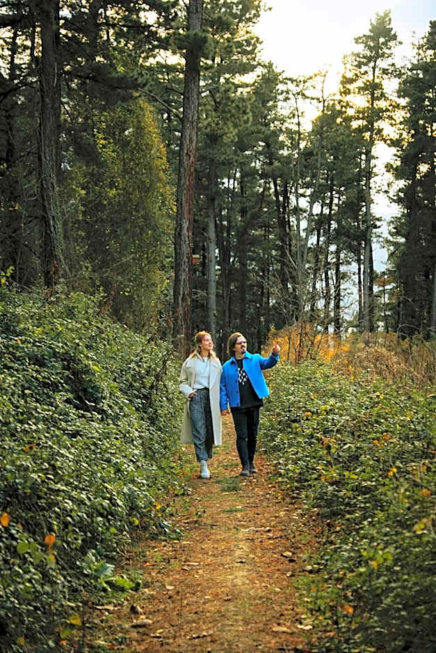 Woodlodge Country Sapanca