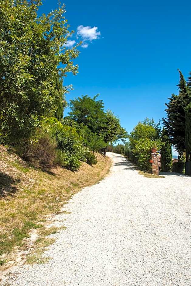 Calmancino delle Selve