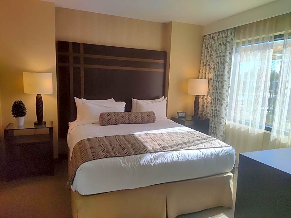 1 bedroom condo F1 / Superbowl Availability
