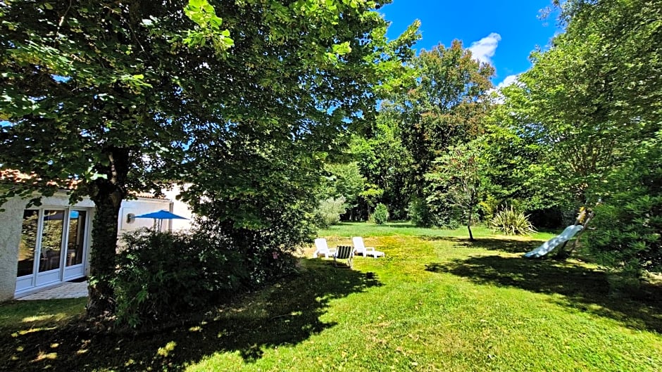 Le pied du chêne