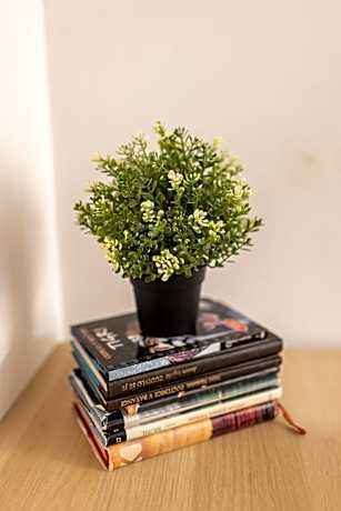 Family Room with Shared Bathroom