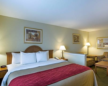 1 King Bed, Suite, Nonsmoking