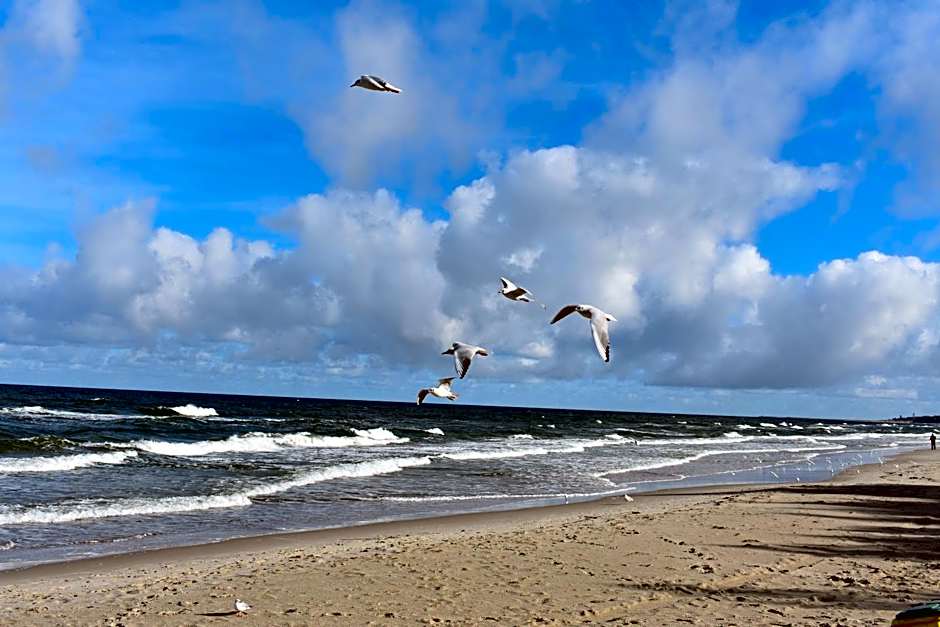 Dom Gościnny Emma Grzybowo