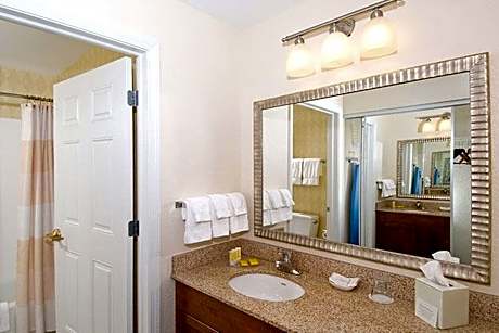 Suite, 1 Bedroom (Mobility/Hearing Access, Roll-In Shwr) (1 Queen Bed and 1 Double Sofa Bed)