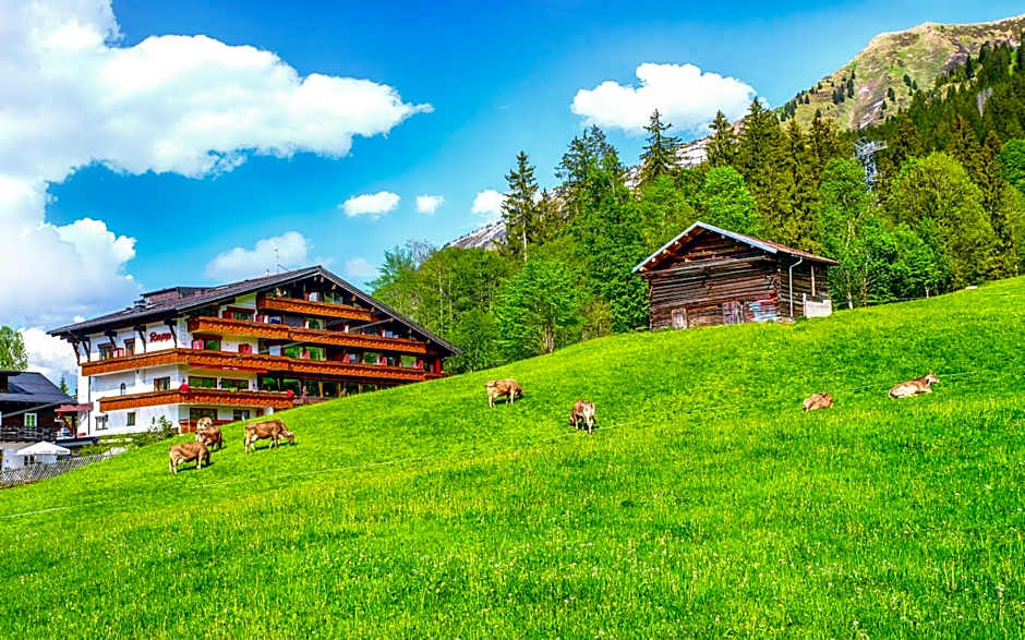 Ski- und Aktivhotel Almhof Rupp