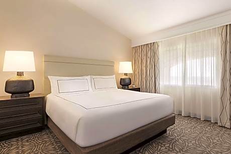 1 King Bed 1 Bedroom Suite