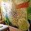 Dream Hostel & Apartments