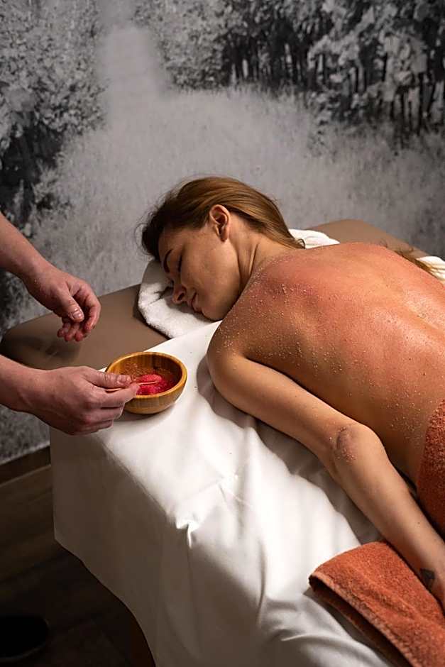 Wellness Hotel Volarik