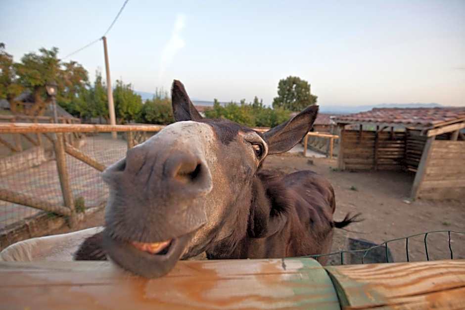 UNA HOTELS Tenuta Contessa Farm & SPA Cosenza