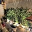 Eco Urban B&B