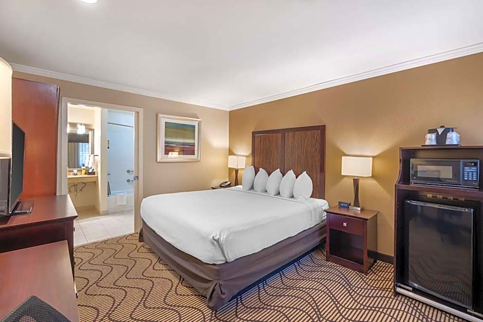 Best Western Plus Orchid Hotel & Suites