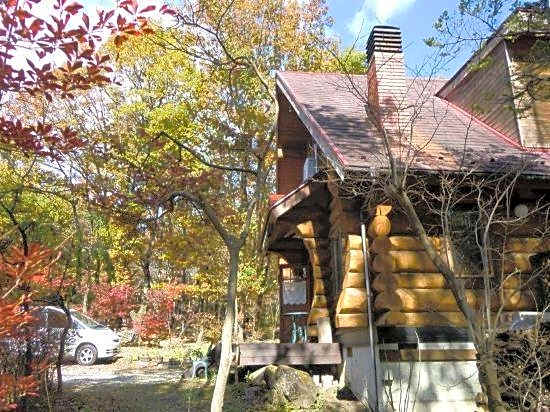 Log Pension Pepe Rosso